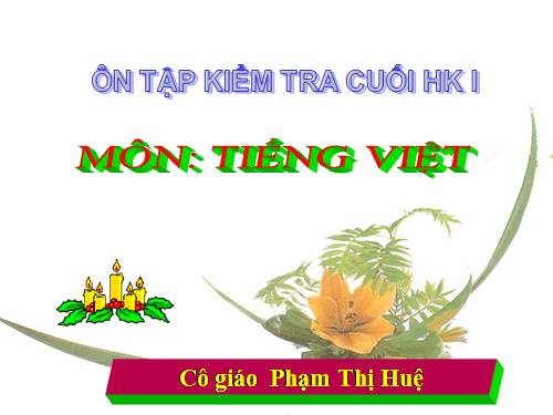 ÔN TẬP KIỂM TRA CUỐI HK I - LỚP 1