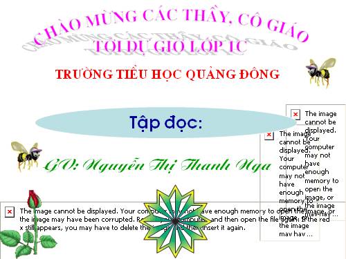 Tuần 7. Mèo con đi học