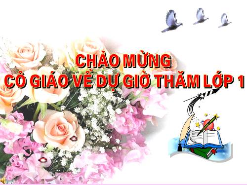 Tuần 8. Hai chị em