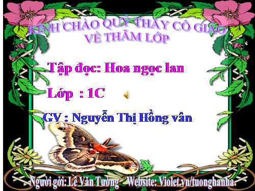 Tuần 3. Hoa ngọc lan