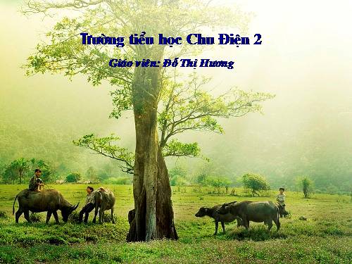 Tuần 2. Cái Bống