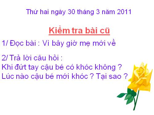 Tuần 6. Đầm sen