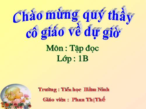 Tuần 10. Cây bàng