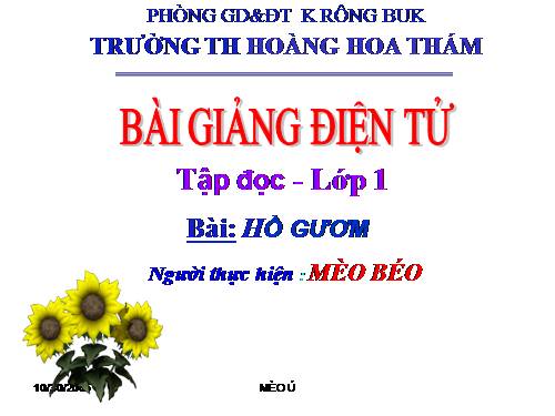 Tuần 9. Hồ Gươm