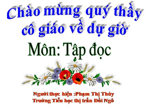 Tuần 10. Cây bàng