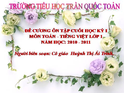 ĐỀ CƯƠNG ÔN TẬP KIỂM TRA CUỐI HKII - LỚP 1