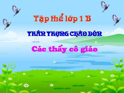 Tuần 10. Cây bàng