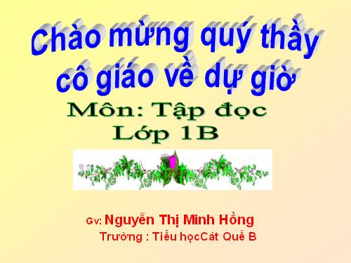 Tuần 10. Cây bàng