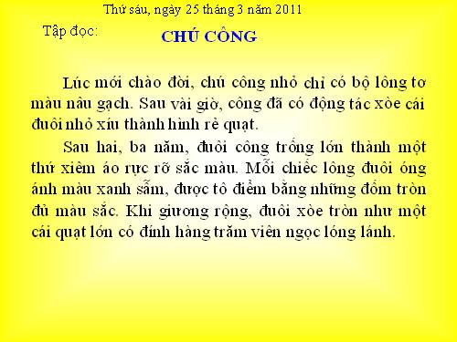 Tuần 6. Chú công