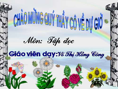 Tuần 7. Mèo con đi học