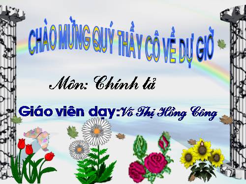 Tuần 7. Mèo con đi học