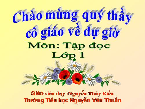 Tuần 10. Cây bàng