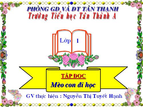 Tuần 7. Mèo con đi học