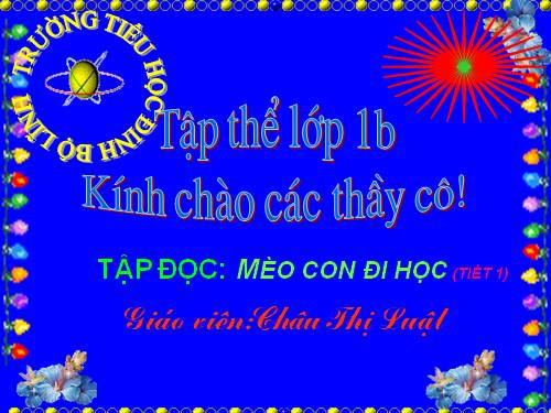 Tuần 7. Mèo con đi học