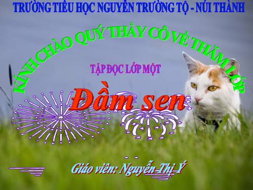 Tuần 6. Đầm sen