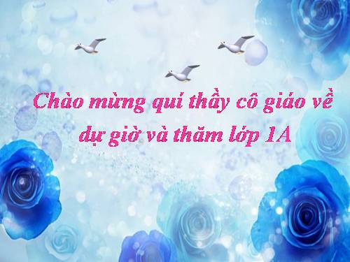 Tuần 1. Cái nhãn vở