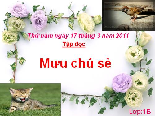 Tuần 3. Mưu chú Sẻ