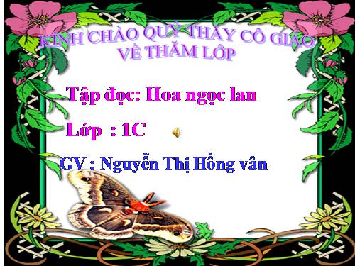 Tuần 3. Hoa ngọc lan