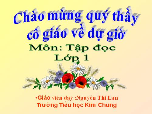 Tuần 10. Cây bàng