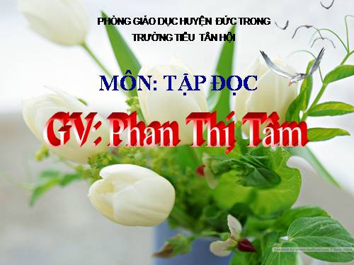 Tuần 2. Bàn tay mẹ