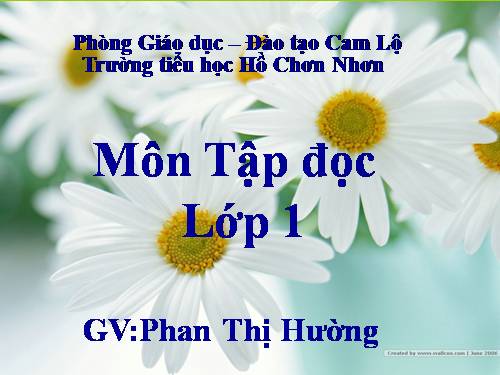 Tuần 2. Bàn tay mẹ