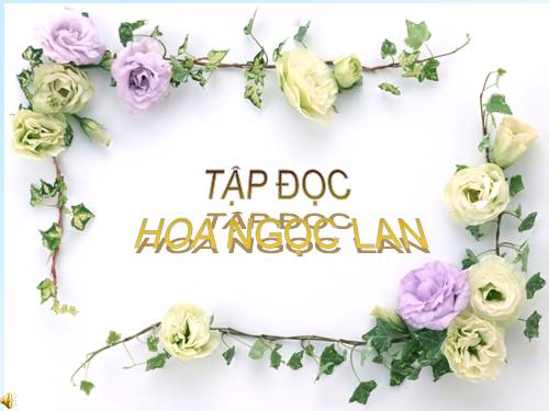 Tuần 3. Hoa ngọc lan