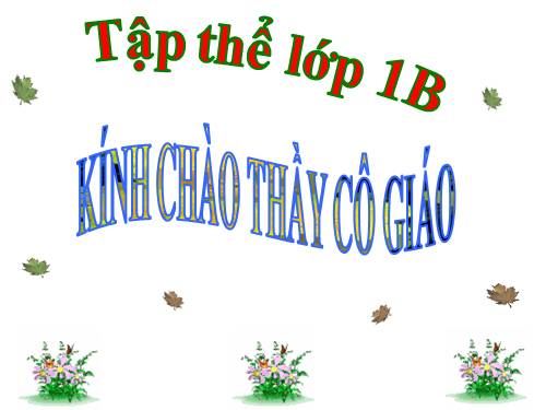 Tuần 1. Tặng cháu