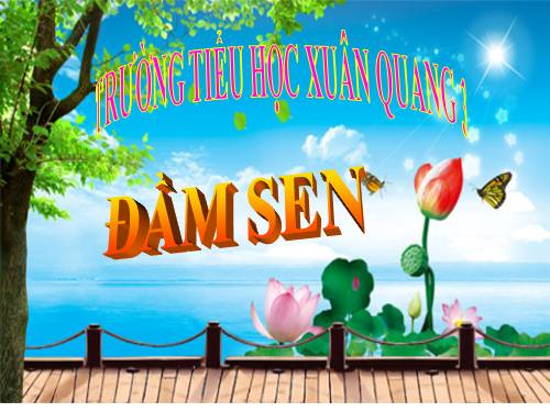 Tuần 6. Đầm sen