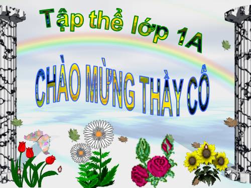 Tuần 9. Luỹ tre