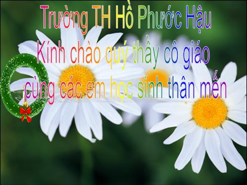 Tuần 2. Bàn tay mẹ