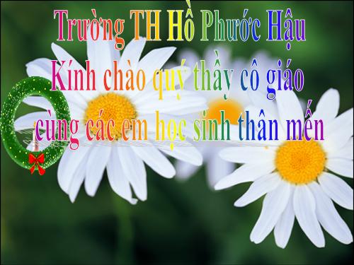 Tuần 2. Bàn tay mẹ