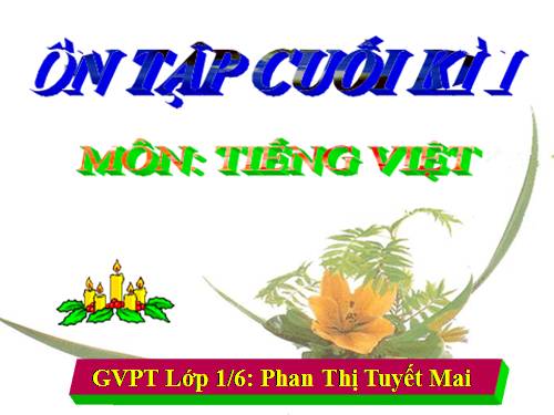 ÔN TẬP KIỂM TRA CUỐI HKI - LỚP 1 - NĂM HỌC 2010-2011