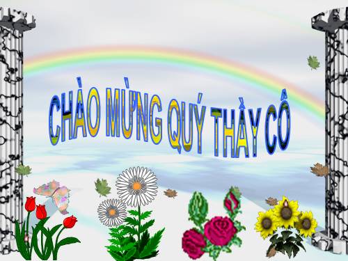 Tuần 7. Mèo con đi học