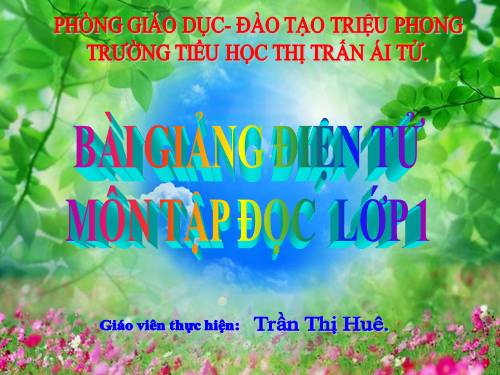 Tuần 10. Cây bàng