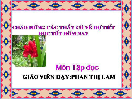 Tuần 7. Mèo con đi học