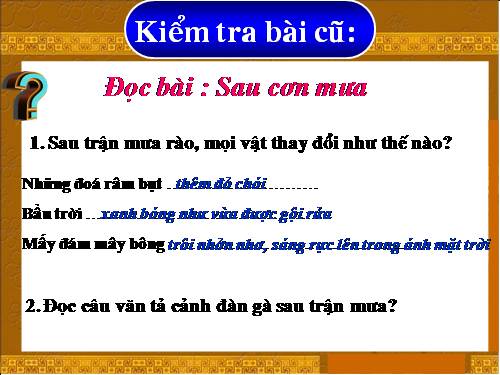 Tuần 10. Cây bàng