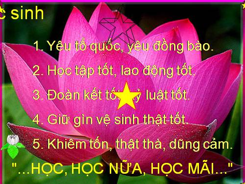 Tuần 11. Làm anh