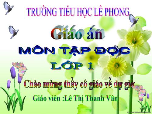 Tuần 3. Hoa ngọc lan