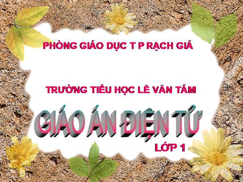 Tuần 2. Bàn tay mẹ