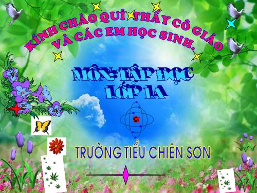 Tuần 10. Cây bàng