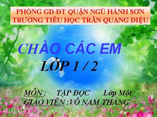 Tuần 10. Cây bàng