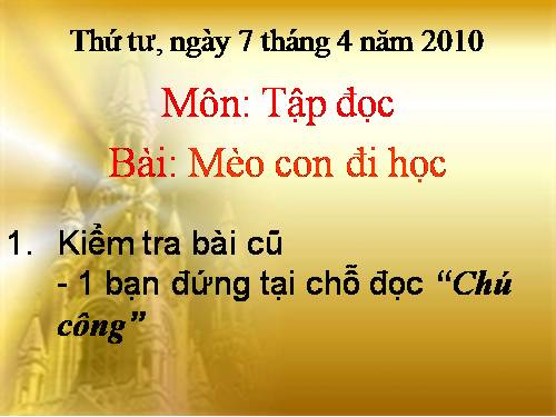 Tuần 7. Mèo con đi học