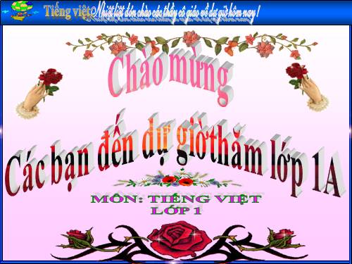 Tuần 8. Hai chị em