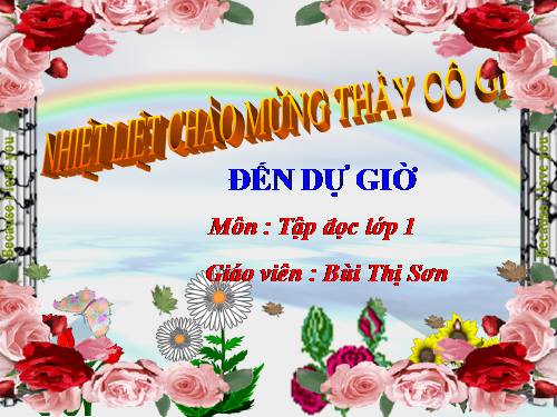 Tuần 7. Mèo con đi học