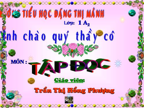 Tuần 3. Hoa ngọc lan