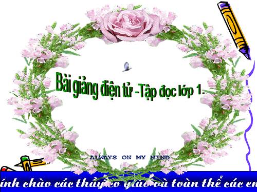 Tuần 9. Hồ Gươm