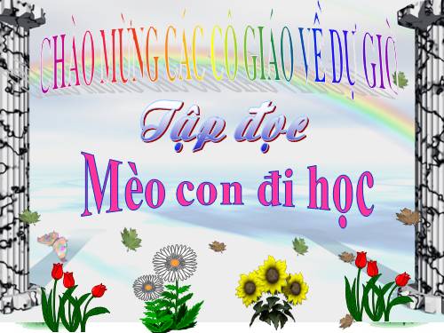 Tuần 7. Mèo con đi học