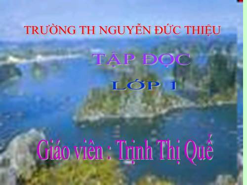 Tuần 7. Mèo con đi học