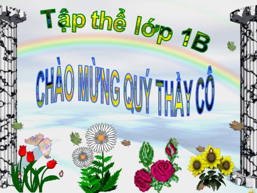 Tuần 7. Mèo con đi học