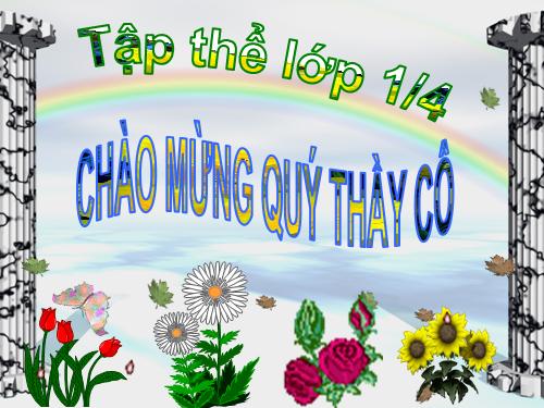 Tuần 7. Mèo con đi học